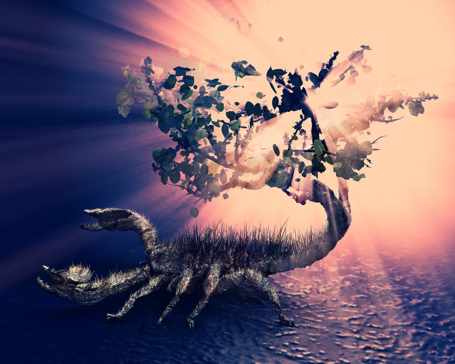 Scorpion Tree