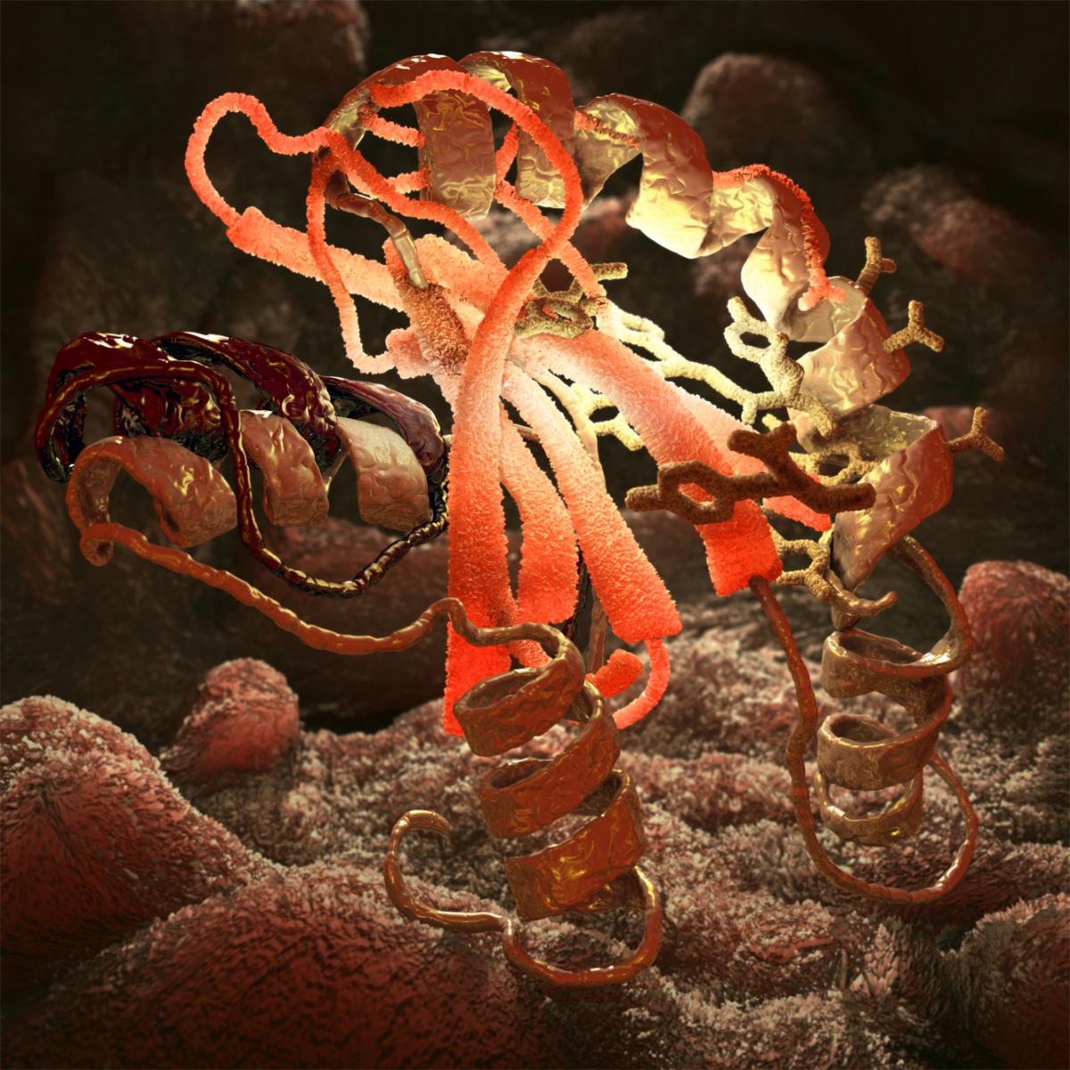 HIV enzyme